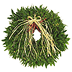 christmas wreath